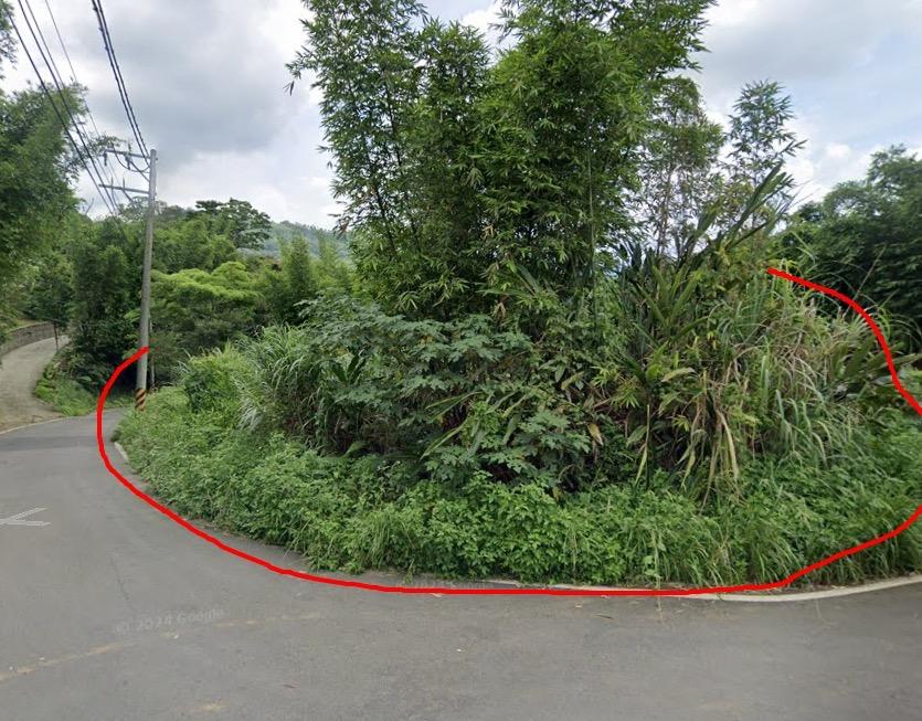 園藝維護案件圖片