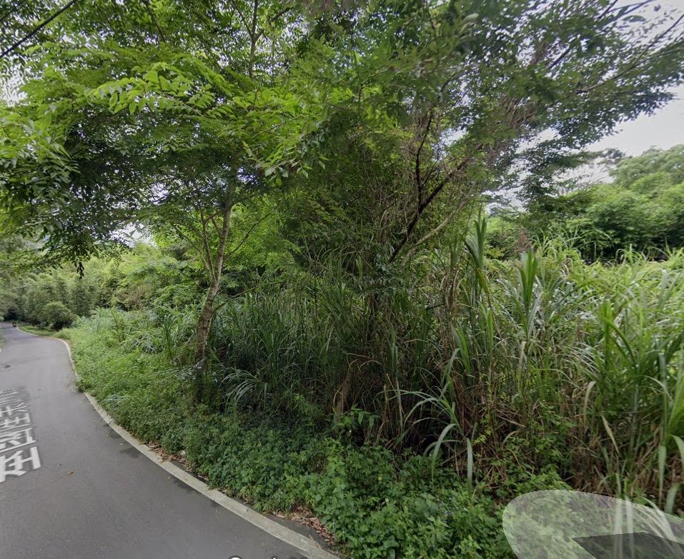 園藝維護案件圖片