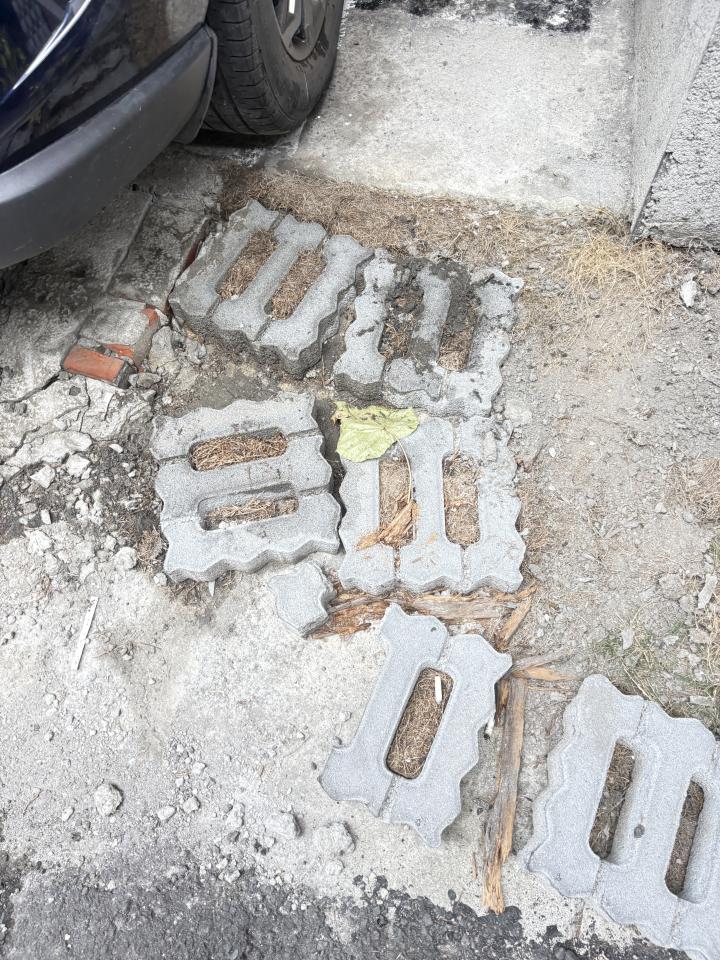 大型垃圾回收案件圖片