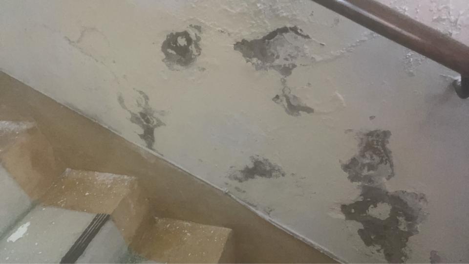 壁癌處理案件圖片