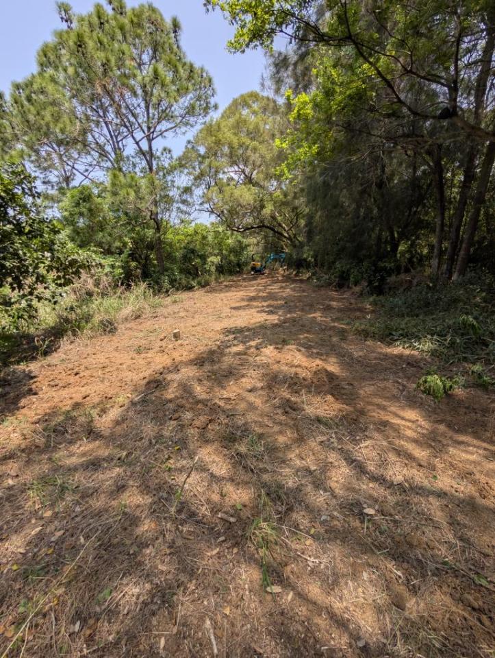 園藝維護案件圖片