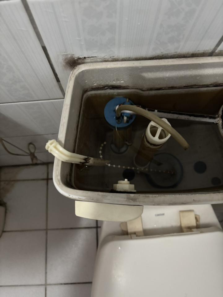 馬桶裝修案件圖片