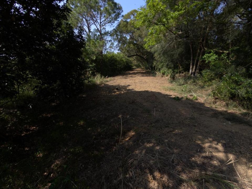 園藝維護案件圖片