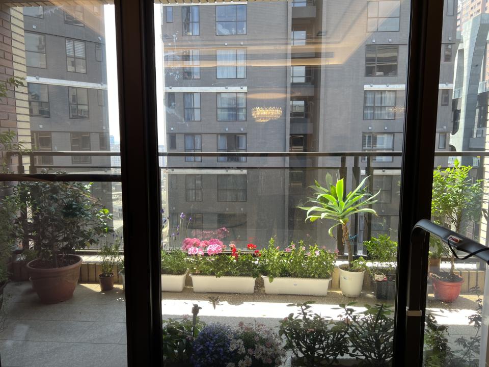 花園自動灑水系統案件圖片