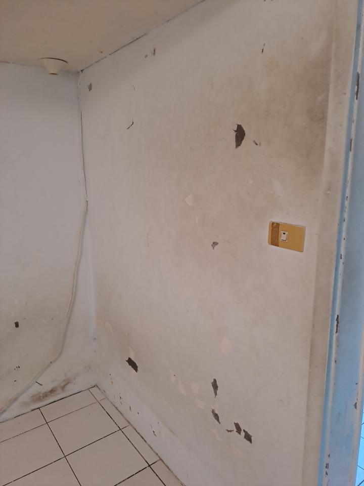 油漆工程案件圖片