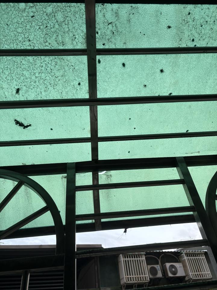 遮雨棚安裝案件圖片