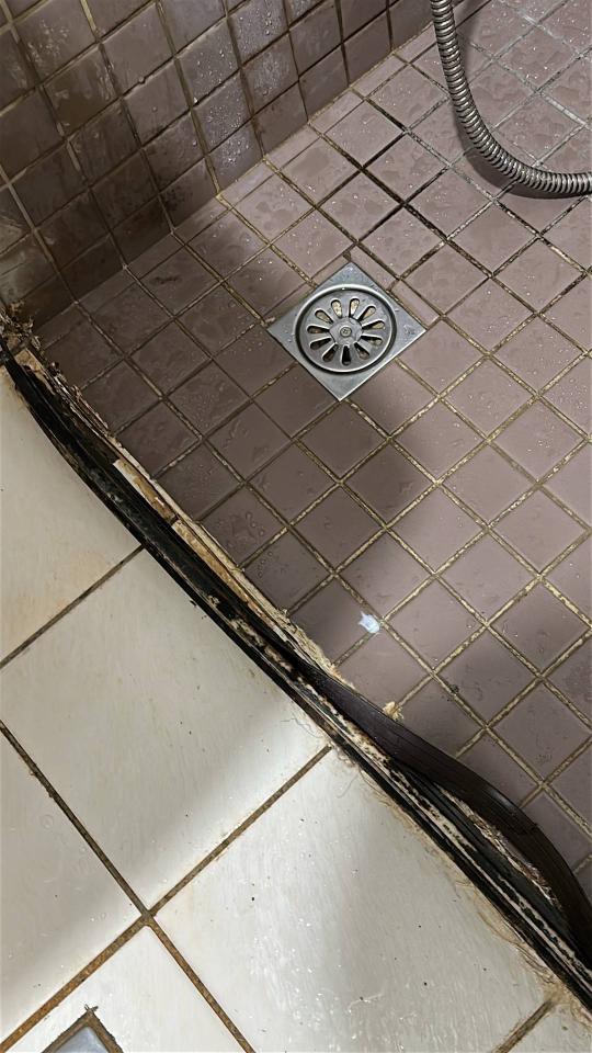 淋浴拉門安裝維修案件圖片