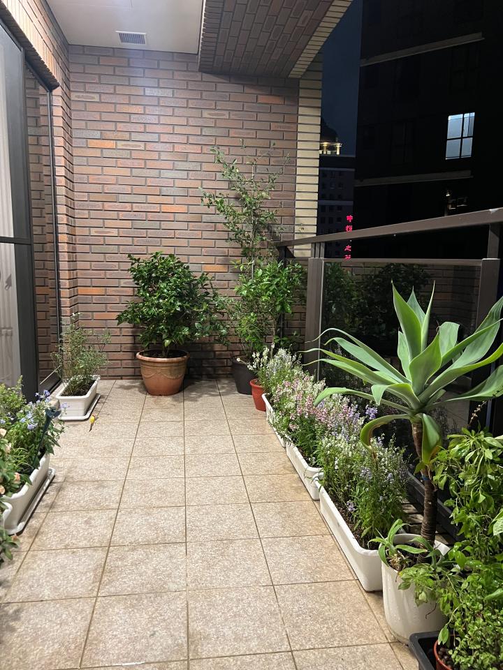 花園自動灑水系統案件圖片