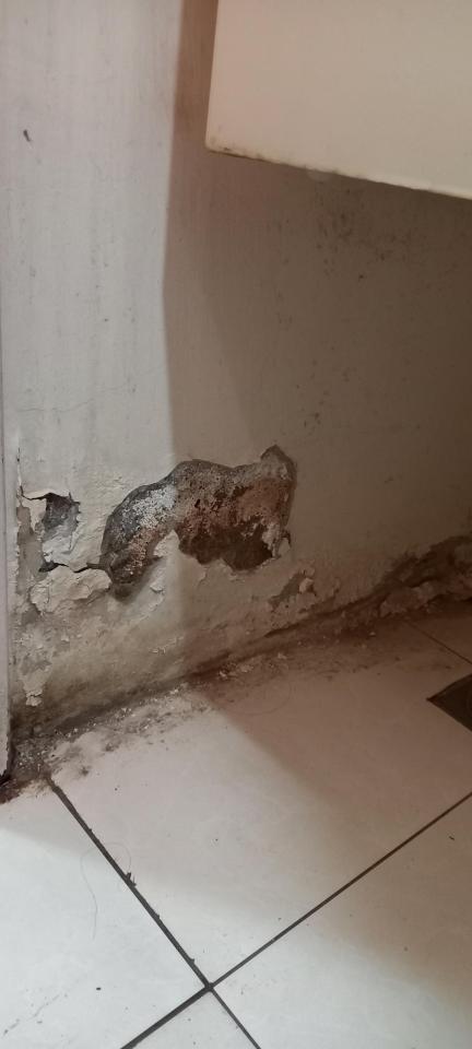 漏水處理案件圖片