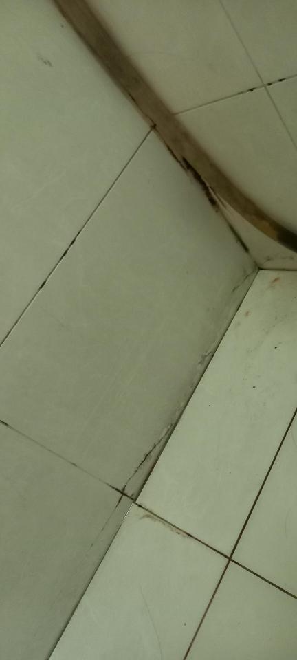 漏水處理案件圖片