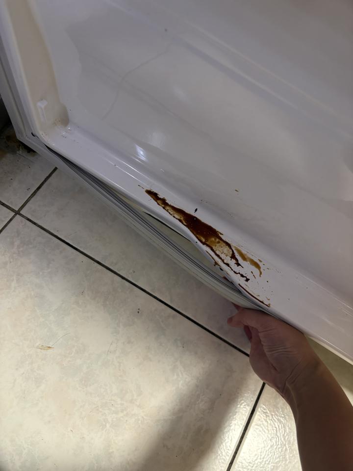 冰箱維修案件圖片