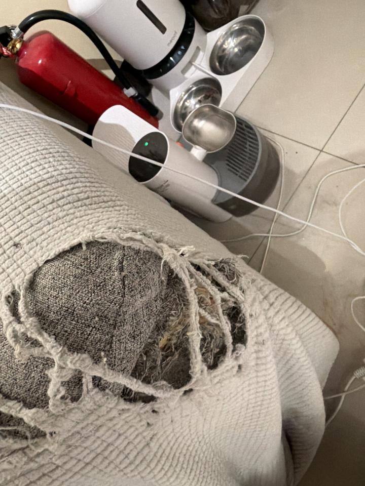 沙發修理案件圖片