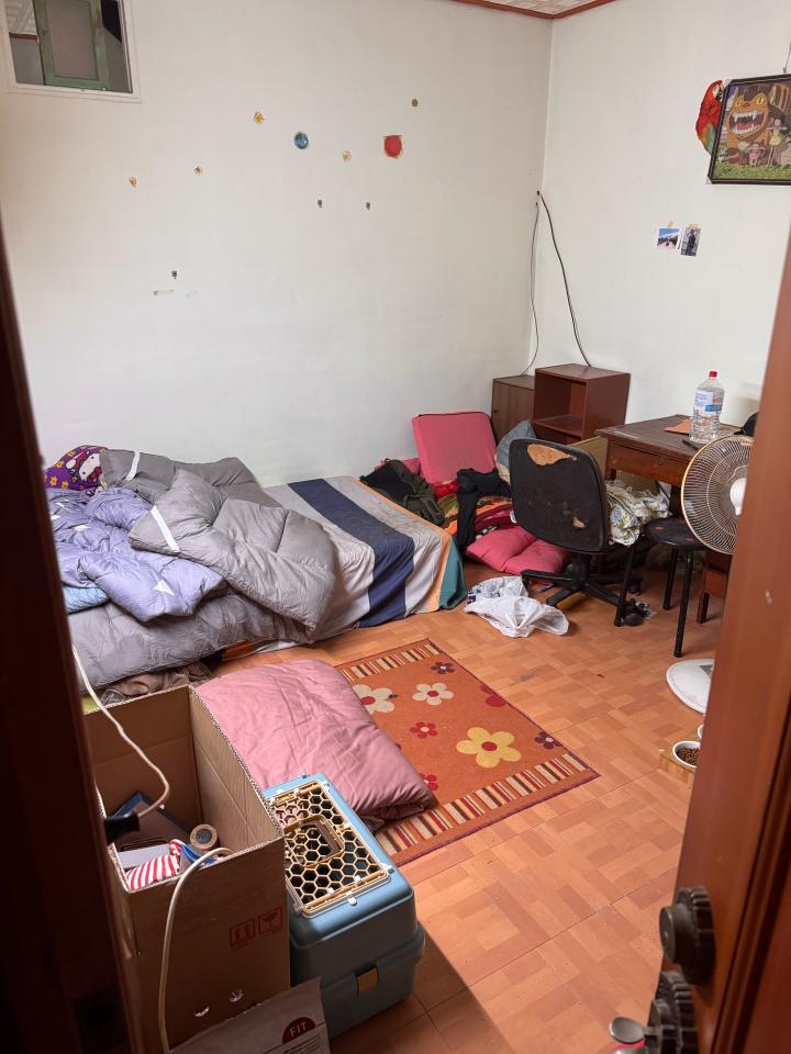 大型垃圾回收案件圖片