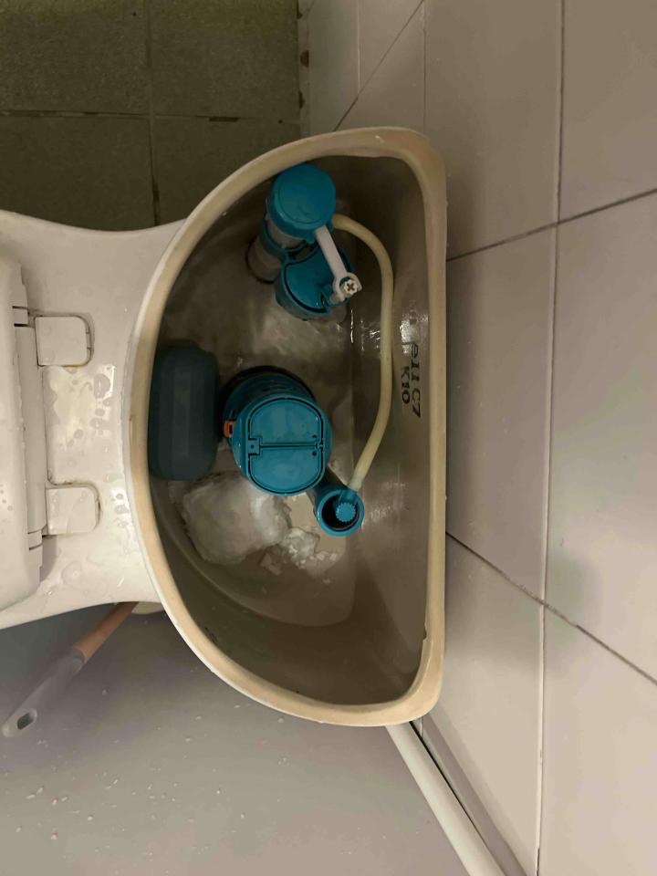 馬桶裝修案件圖片