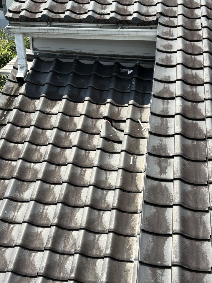 屋瓦翻修案件圖片