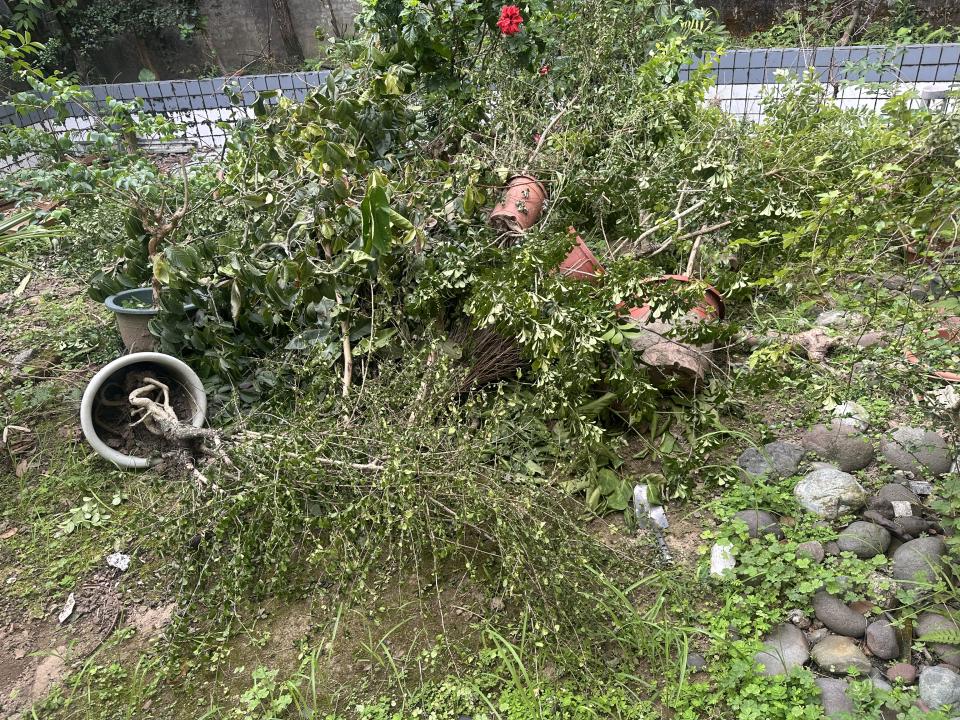 大型垃圾回收案件圖片