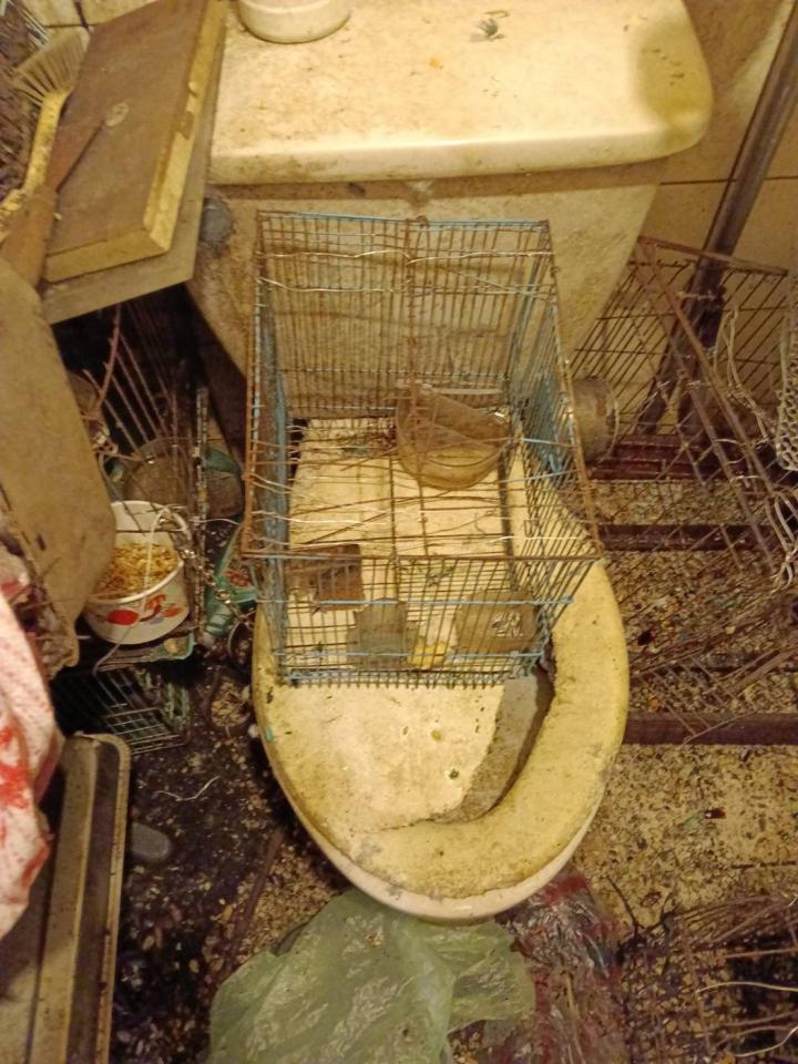 特殊清潔案件圖片