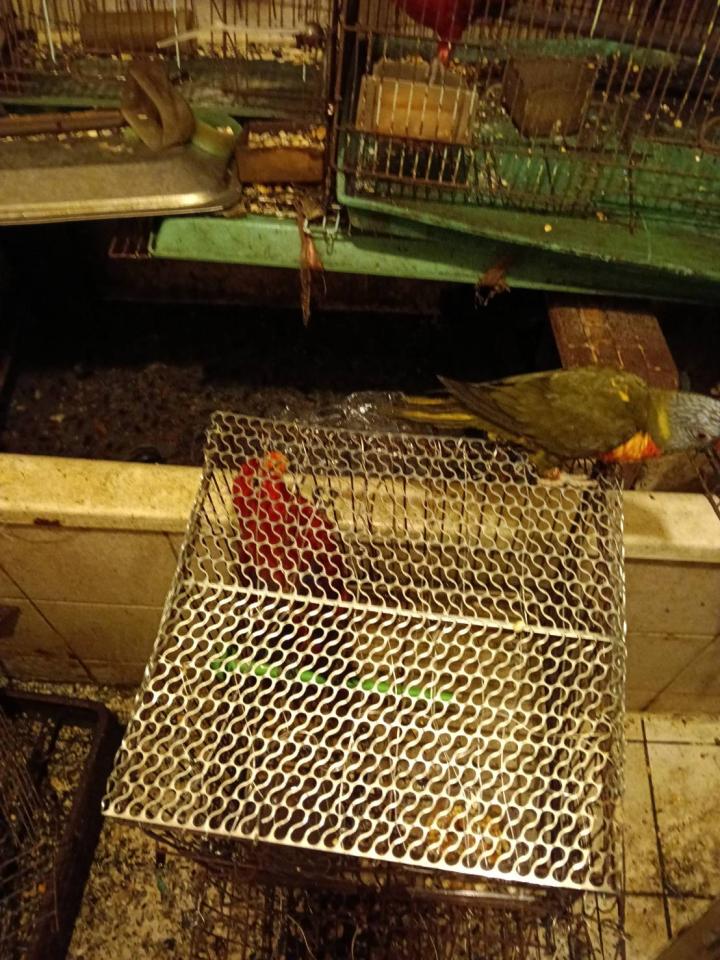 特殊清潔案件圖片