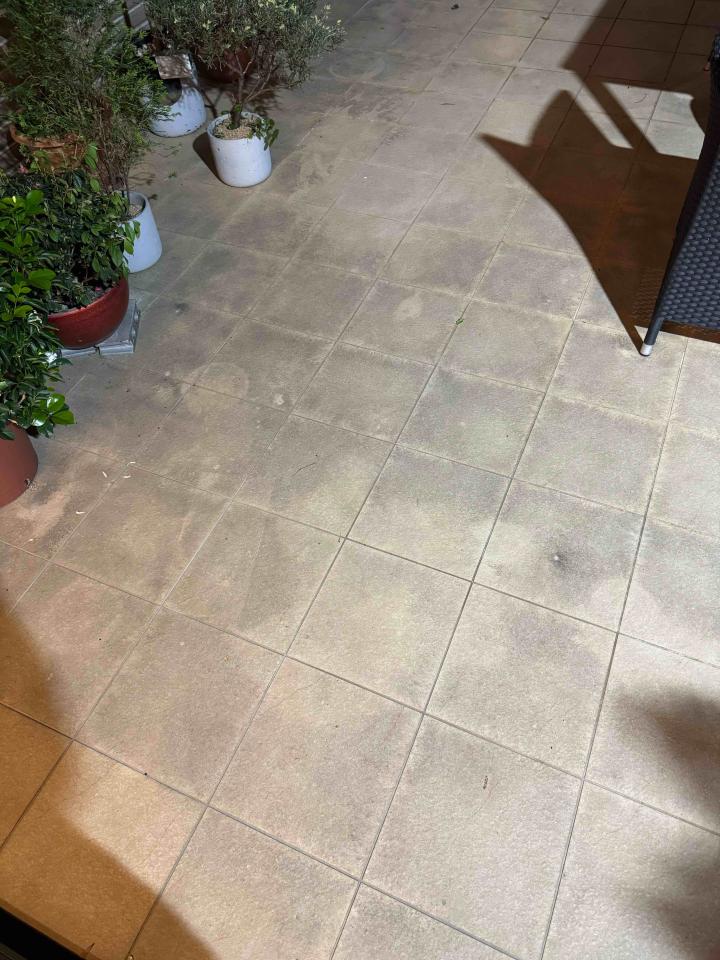 磁磚清潔案件圖片