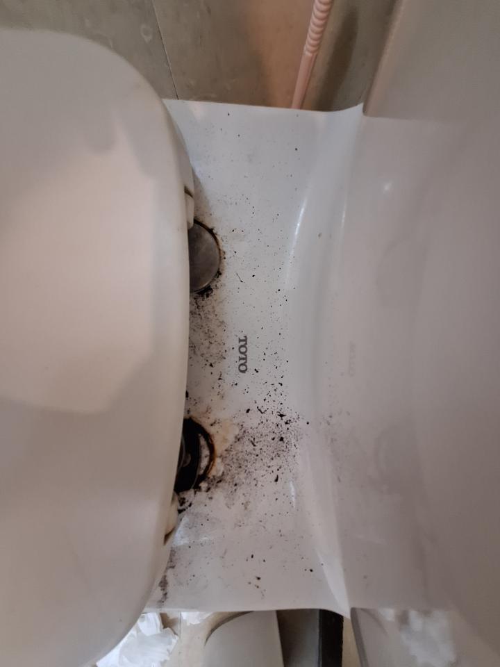 馬桶裝修案件圖片