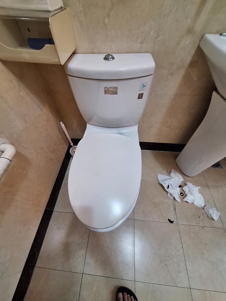 馬桶裝修案件圖片