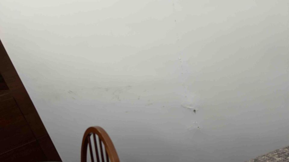 油漆工程案件圖片