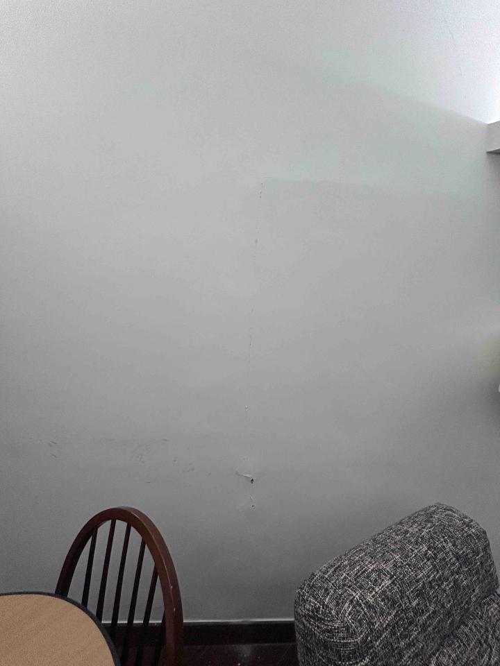 油漆工程案件圖片