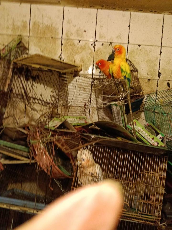 特殊清潔案件圖片