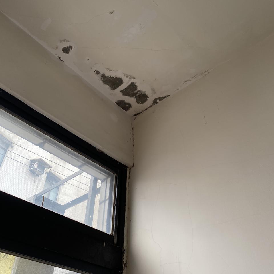 壁癌處理案件圖片