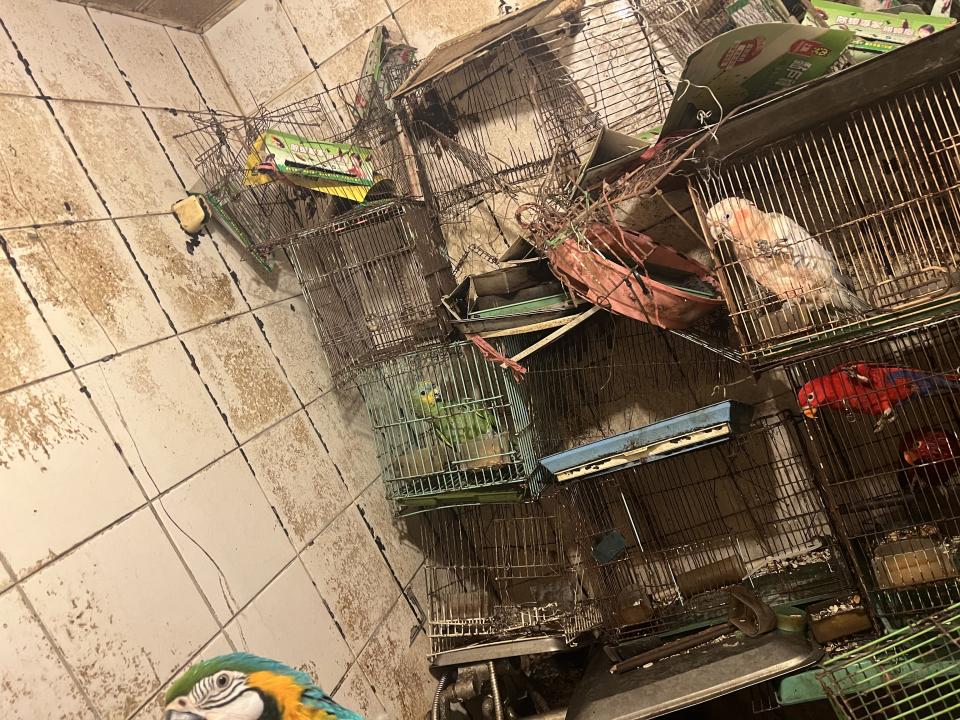 特殊清潔案件圖片