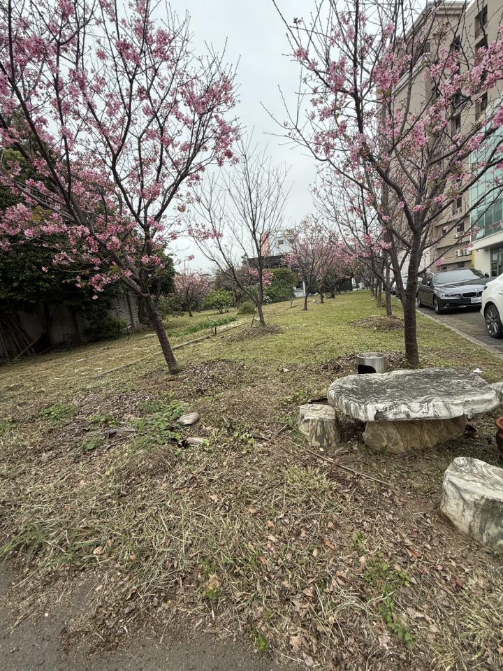 園藝維護案件圖片