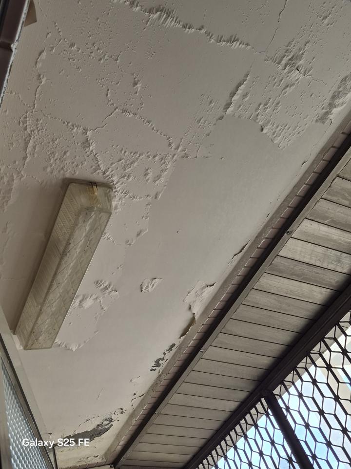 油漆工程案件圖片