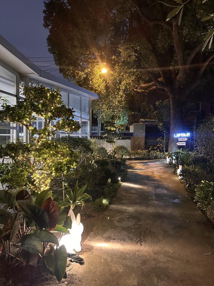 園藝維護案件圖片