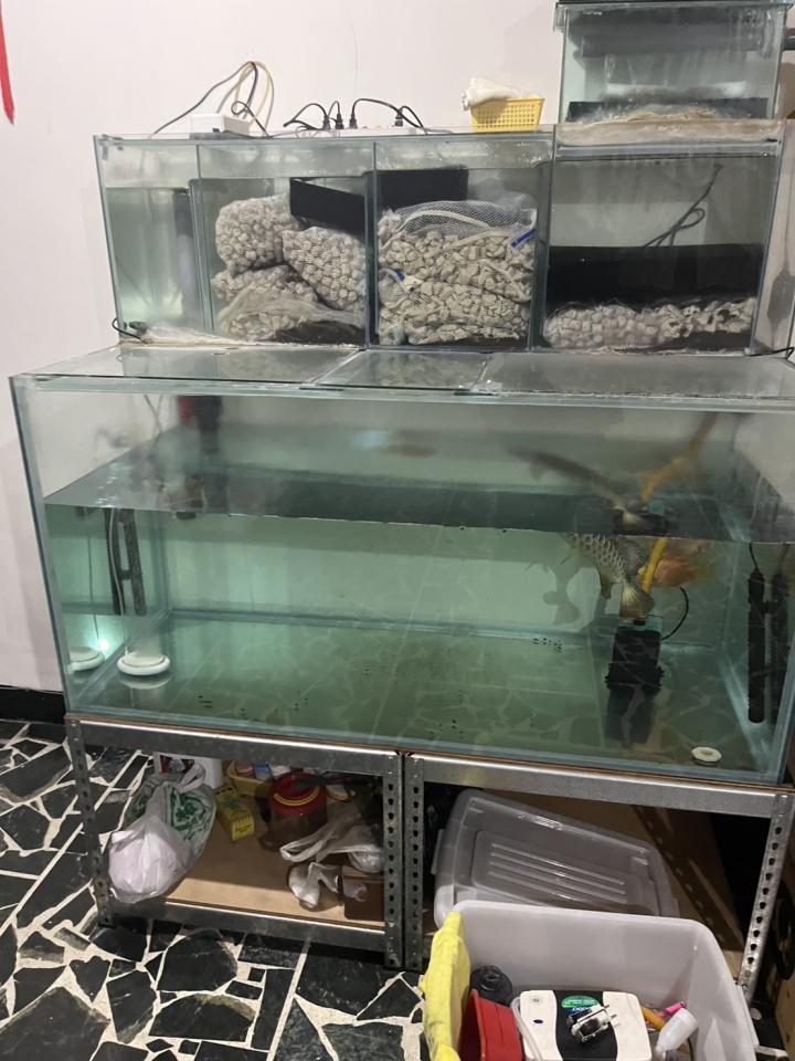 家具搬運案件圖片