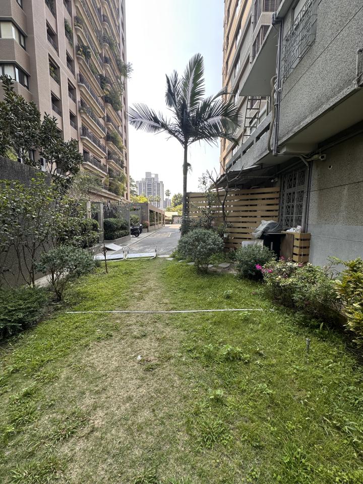 園藝維護案件圖片