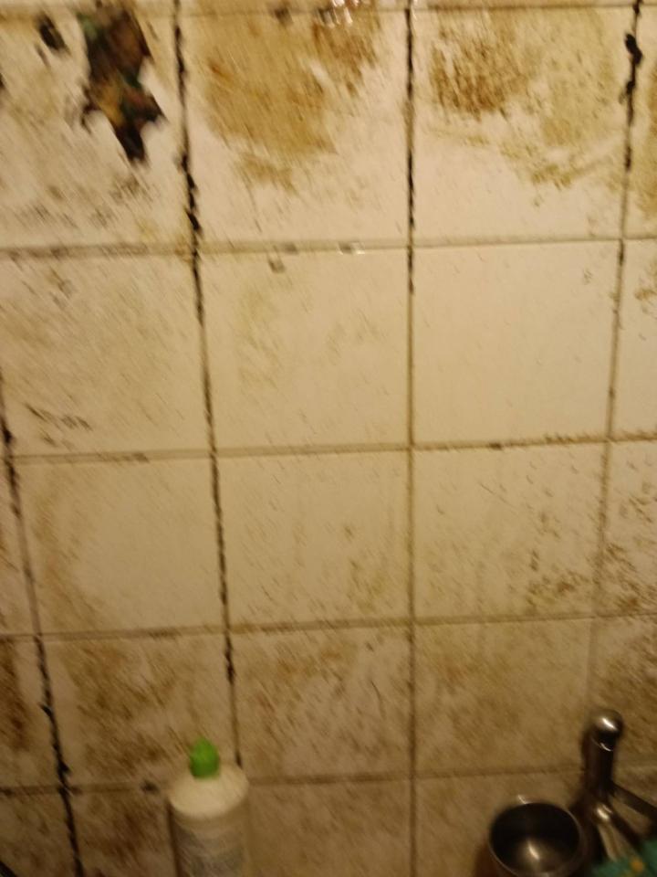 特殊清潔案件圖片