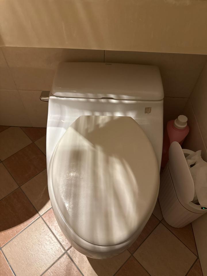 馬桶裝修案件圖片