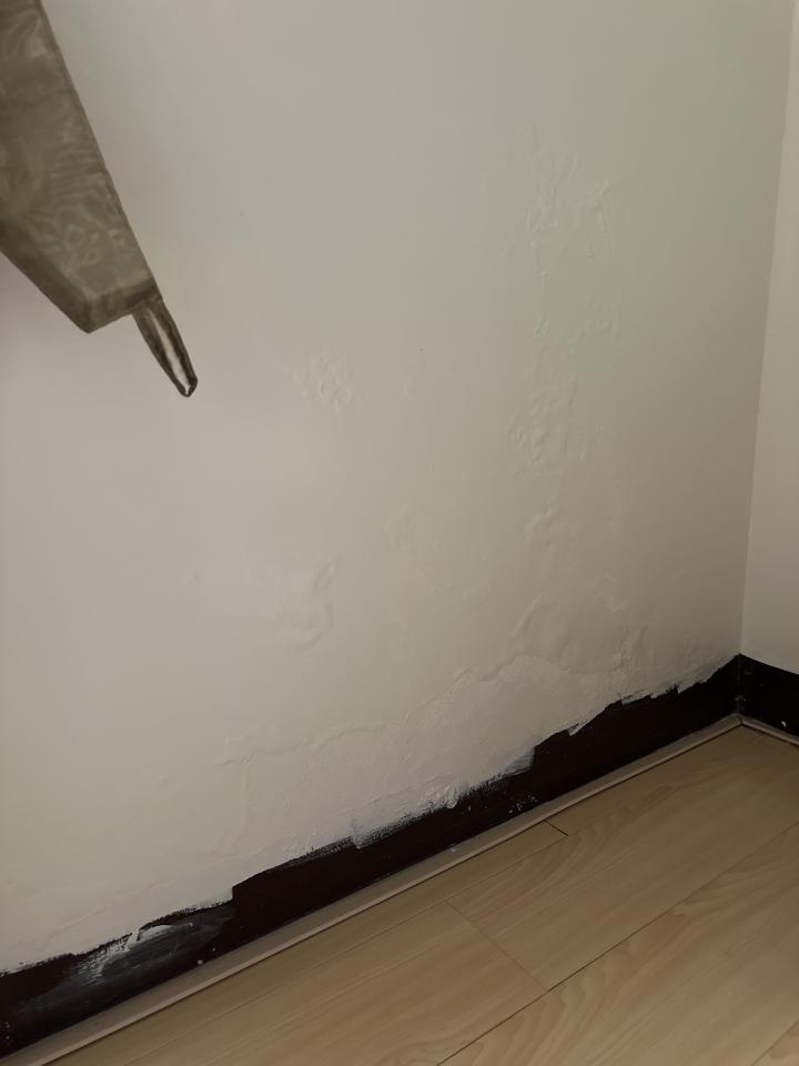 老屋翻新案件圖片