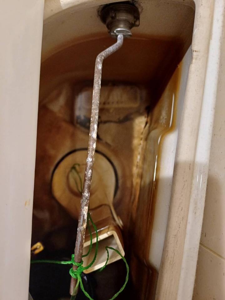 馬桶裝修案件圖片