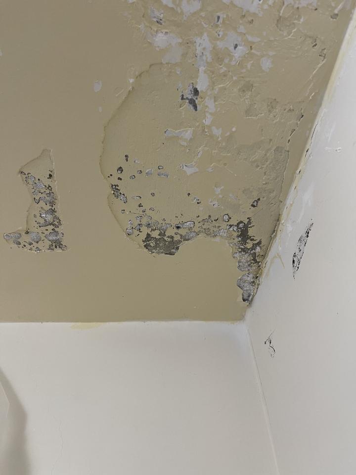 漏水鑑定案件圖片