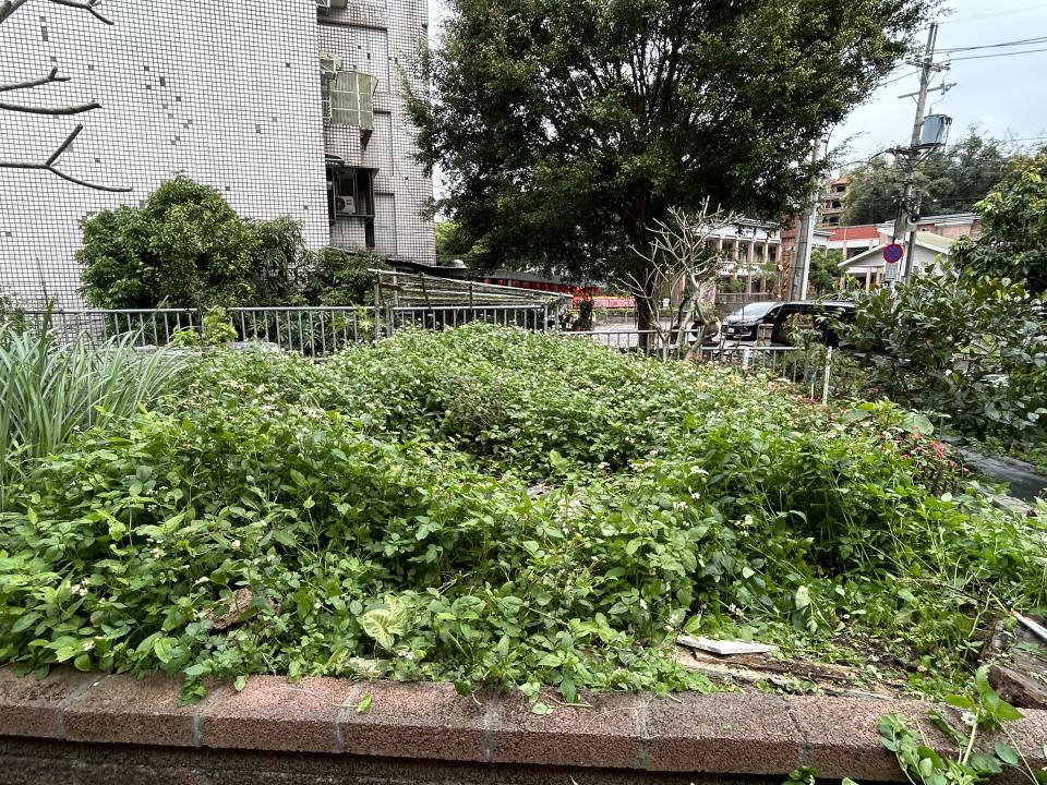 園藝設計案件圖片