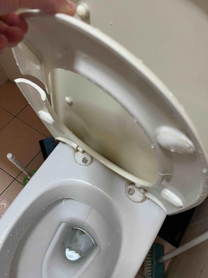 馬桶裝修案件圖片