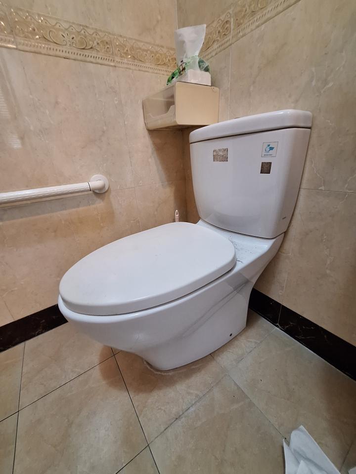 馬桶裝修案件圖片