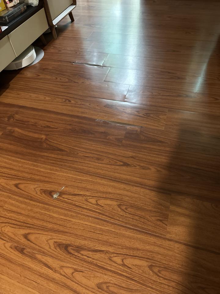 老屋翻新案件圖片