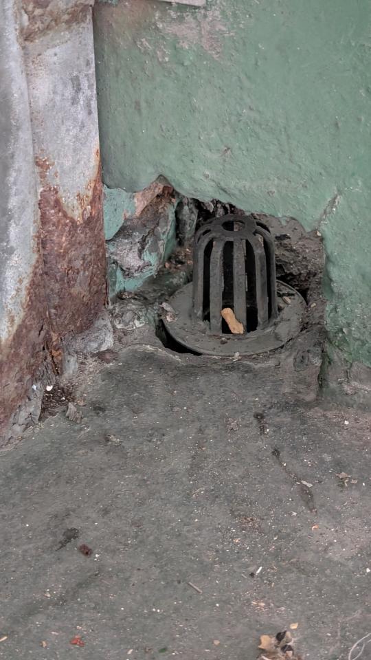 屋頂防水案件圖片