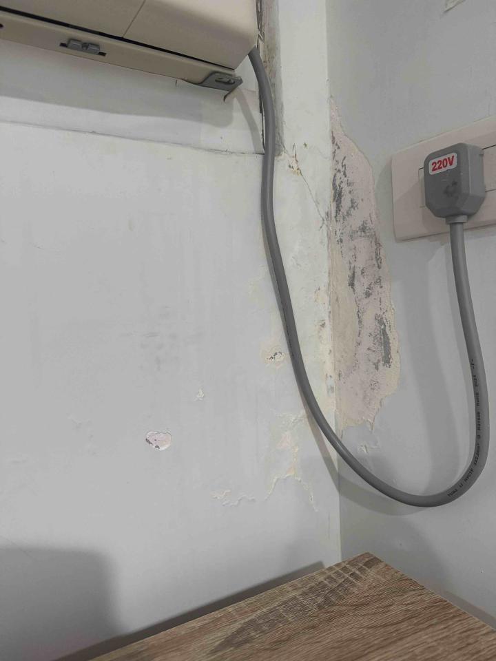 油漆工程案件圖片