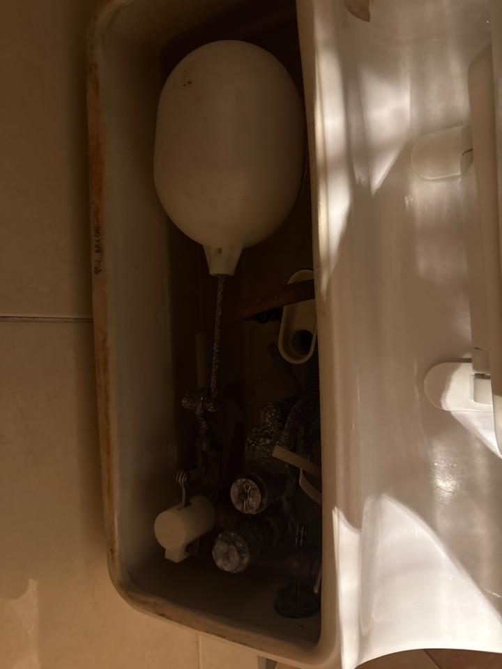 馬桶裝修案件圖片