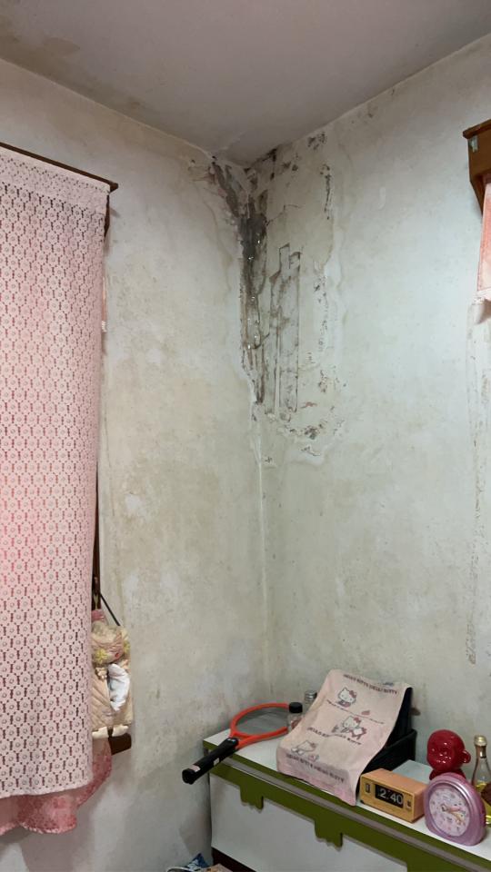 油漆工程案件圖片