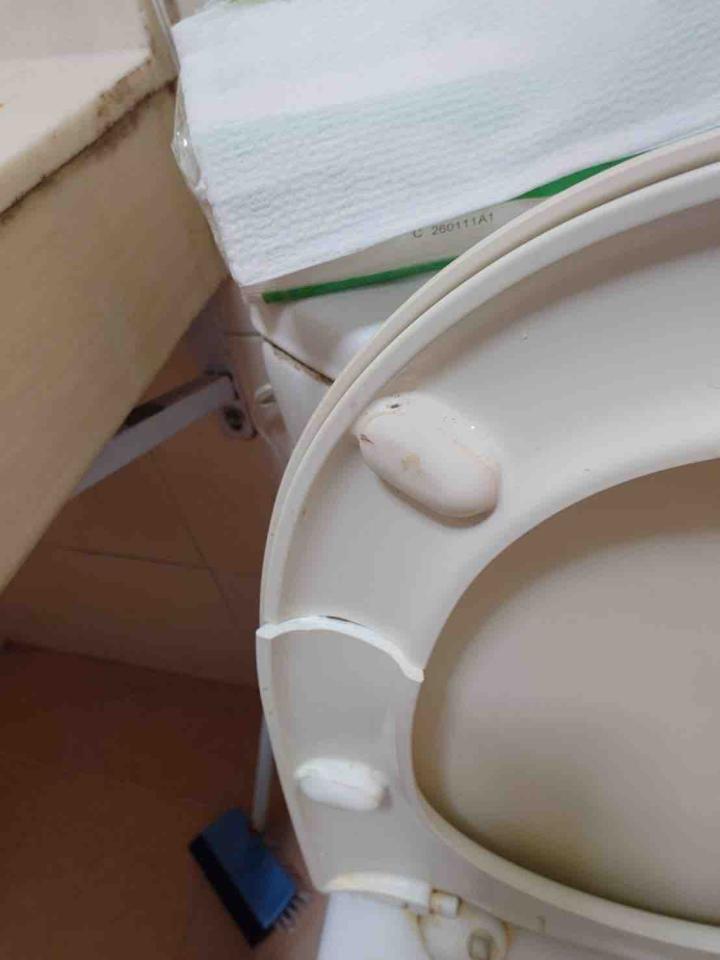 馬桶裝修案件圖片