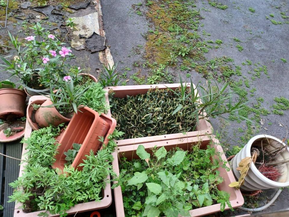 大型垃圾回收案件圖片